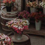 10 Secrets Pour Réussir La Culture En Pot découvrez l'art du jardinage en conteneurs : des conseils pratiques, des idées de plantes et des astuces pour transformer votre balcon ou votre jardin en un espace vert florissant, même dans les petits espaces.