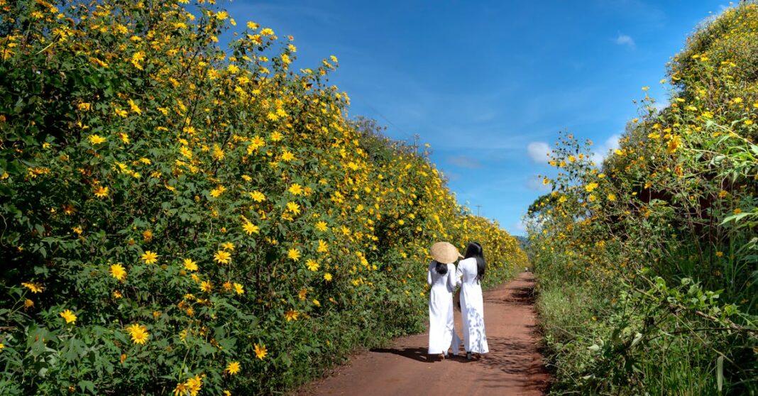 découvrez tout sur les plantes annuelles : les meilleures variétés, conseils de culture et astuces d'entretien pour embellir votre jardin chaque année. apprenez à choisir des plantes qui fleurissent et se développent rapidement pour apporter couleur et vie à vos espaces extérieurs.