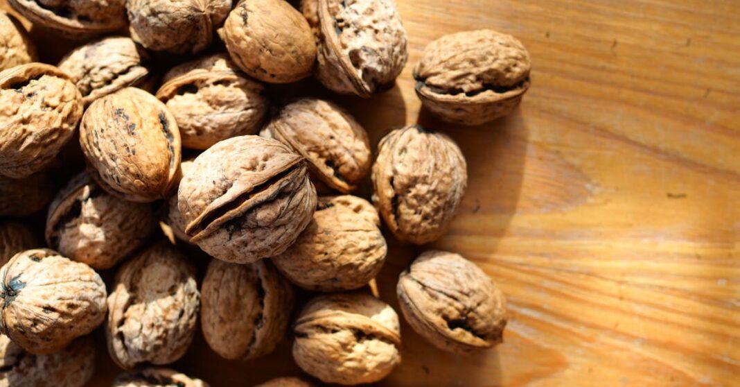 découvrez les merveilles des noyers, arbres majestueux et polyvalents. apprenez-en plus sur leur culture, leurs bienfaits écologiques et les délicieuses noix qu'ils produisent. plongez dans l'univers fascinant des noyers et leur importance dans notre écosystème.