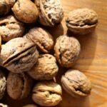 Arbres À Noix : Quelques Conseils D’Entretien Pour 5 Espèces découvrez les merveilles des noyers, arbres majestueux et polyvalents. apprenez-en plus sur leur culture, leurs bienfaits écologiques et les délicieuses noix qu'ils produisent. plongez dans l'univers fascinant des noyers et leur importance dans notre écosystème.