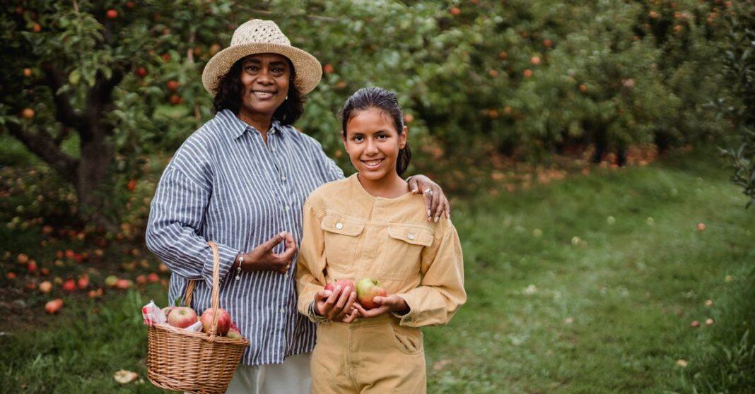 découvrez nos variétés d'arbres fruitiers nains, idéales pour les petits jardins ou les balcons. cultivez des fruits savoureux et profitez d'une récolte abondante tout en ajoutant une touche de verdure à votre espace extérieur!