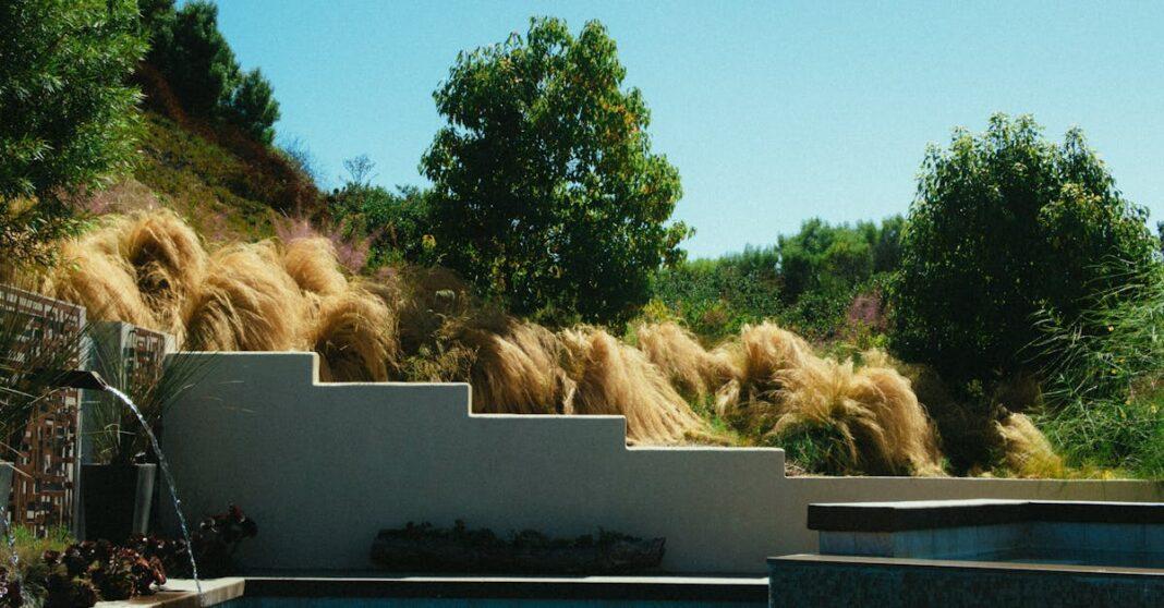 transformez votre espace extérieur avec un aménagement paysager autour de votre piscine. découvrez des idées innovantes pour embellir votre jardin, allier esthétique et fonctionnalité, et créer un oasis de détente et de plaisir.