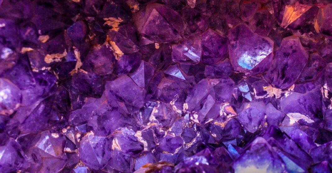 découvrez l'art de la teinture à la lavande, une méthode naturelle et apaisante pour obtenir des couleurs uniques et délicates sur vos tissus. plongez dans cet univers coloré et relaxant, où la lavande apporte une ambiance parfumée et des nuances subtiles à vos créations textiles.