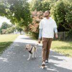 découvrez l'art du compagnonnage des plantes, une méthode de jardinage écologique qui favorise la croissance, protège contre les nuisibles et améliore la santé de vos cultures. apprenez quelles plantes s'associent harmonieusement pour optimiser votre potager et réaliser des récoltes abondantes.