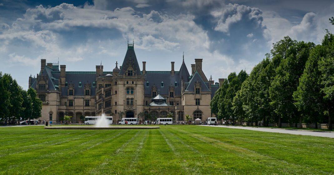 découvrez nos conseils essentiels pour l'entretien de votre pelouse. apprenez à maintenir un gazon sain et verdoyant tout au long de l'année grâce à nos astuces sur la tonte, l'arrosage et les soins spécifiques aux différents types de herbes.