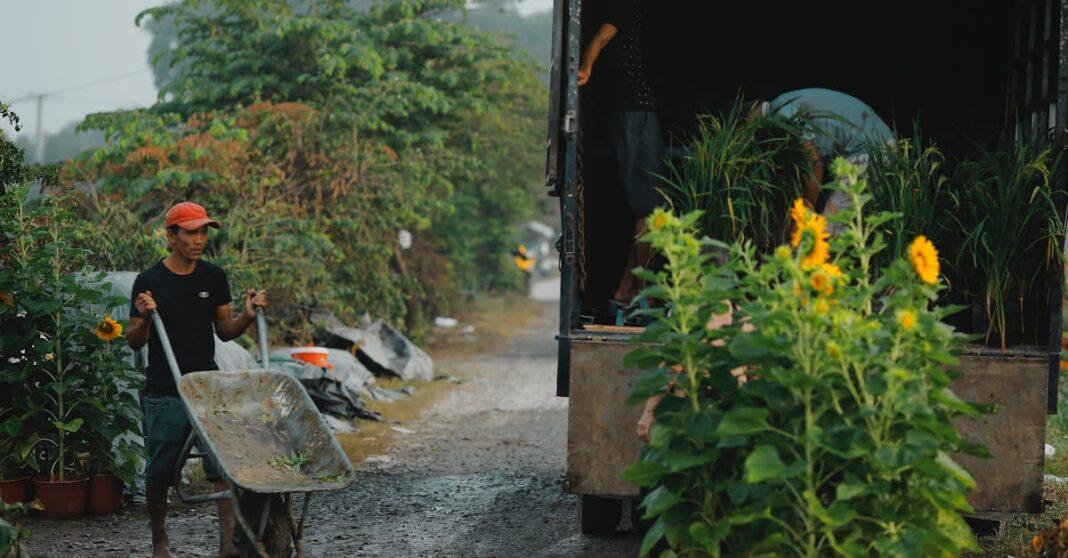 découvrez l'importance de l'analyse des sols pour optimiser la santé de vos cultures. notre service d'analyse vous aide à comprendre la composition de votre terre, à améliorer les rendements et à promouvoir des pratiques agricoles durables. prenez soin de votre sol pour un avenir florissant!