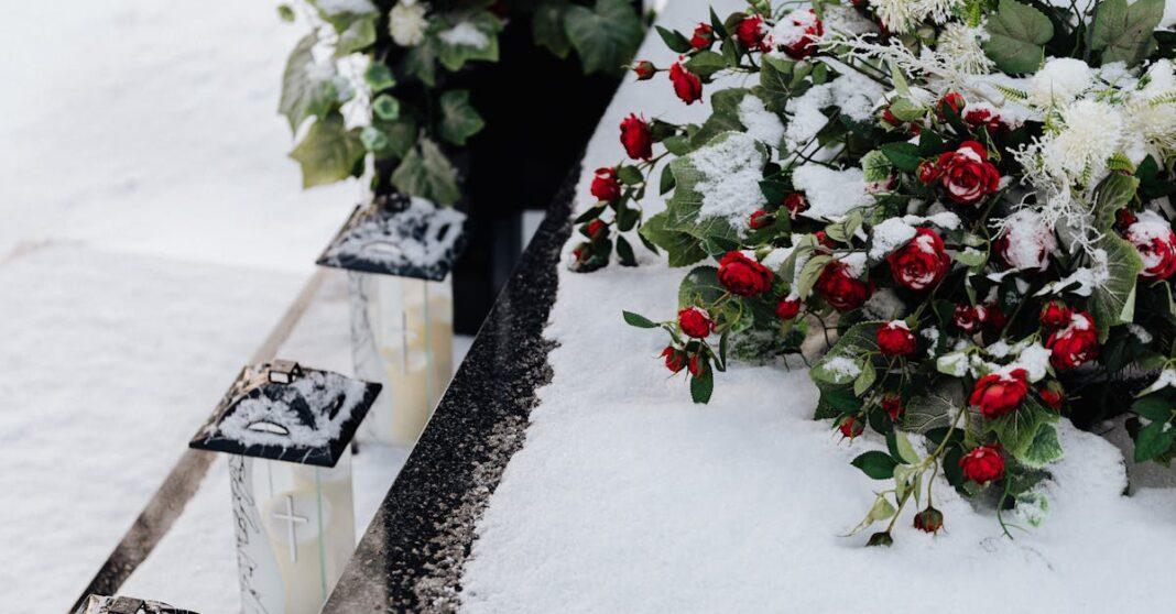 découvrez l'univers enchanteur des 'frozen flowers', une tendance de la décoration florale où la beauté des fleurs se fige dans le temps. parfait pour ajouter une touche de magie et d'élégance à votre intérieur, ces arrangements uniques capturent la délicatesse de la nature. explorez les différentes façons de les intégrer dans votre décor et laissez-vous inspirer par leur esthétique glacée.