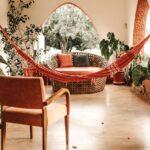 Grandes Plantes D’Intérieur : 7 Espèces Majestueuses découvrez notre sélection de plantes d'intérieur pour embellir votre espace de vie. que vous soyez un amateur de verdure ou un expert en jardinage, nos conseils et nos variétés adaptées transformeront votre intérieur en oasis de bien-être.