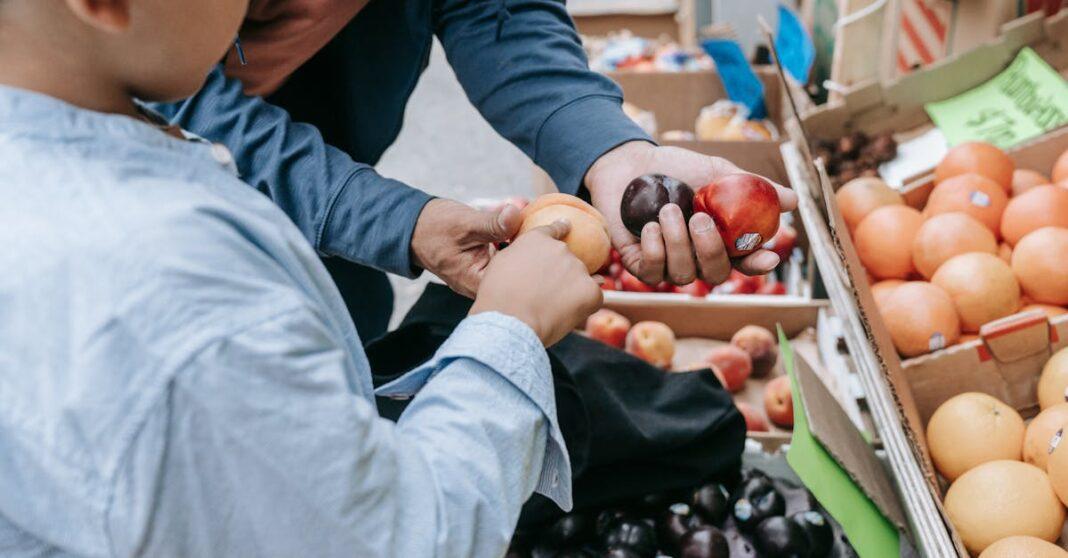 découvrez les producteurs locaux qui mettent en avant leur savoir-faire et leurs produits frais et de qualité. soutenez l'agriculture de proximité et savourez les richesses de votre région.