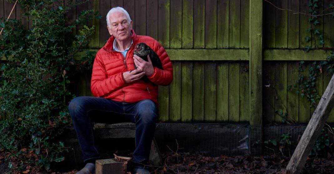 découvrez l'art du jardinage d'hiver : conseils pratiques pour entretenir et préparer votre jardin pendant les mois froids, afin de profiter d'une saison florissante au printemps.