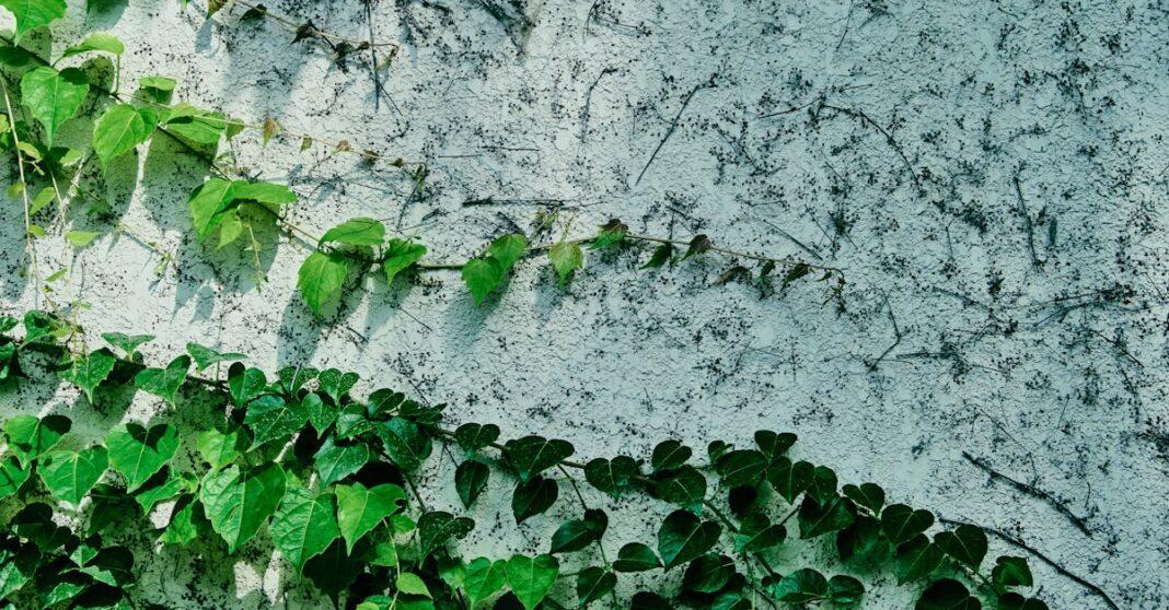 découvrez l'art du jardinage vertical : une solution innovante pour maximiser l'espace tout en embellissant votre intérieur ou extérieur. apprenez à cultiver vos plantes sur des structures verticales, optimisez votre environnement urbain et profitez des bienfaits d'un jardinage durable.