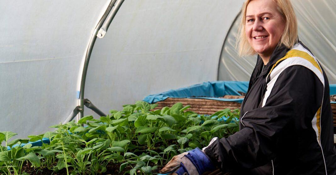 découvrez les principes du jardinage durable pour créer un environnement éco-responsable et productif. apprenez à cultiver vos plantes tout en préservant la biodiversité et en optimisant l'utilisation des ressources naturelles.