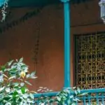 découvrez notre sélection de plantes grimpantes pour embellir votre jardin ou votre balcon. apportez une touche de verdure et de charme à vos espaces extérieurs grâce à ces espèces variées, idéales pour créer des treillis, décorer vos murs ou couvrir une pergola. explorez les meilleures options et conseils pour choisir la plante grimpante parfaite.
