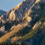 découvrez les avantages du paillis de cèdre : un excellent choix pour le jardinage, qui aide à conserver l'humidité du sol, supprime les mauvaises herbes et apporte une touche esthétique naturelle à vos espaces extérieurs.