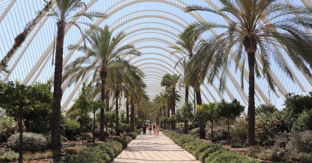 découvrez notre collection de plantes tropicales, idéales pour apporter une touche d'exotisme à votre intérieur. explorez des variétés uniques qui égayent votre espace de vie tout en améliorant la qualité de l'air.