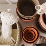 Pots Et Jardinières : 7 Idées Déco Pour Vos Plantes découvrez notre guide complet sur les planters : des conseils pratiques pour choisir, entretenir et optimiser vos espaces verts grâce à des poteries élégantes et fonctionnelles. transformez votre jardin ou balcon en un véritable havre de paix.