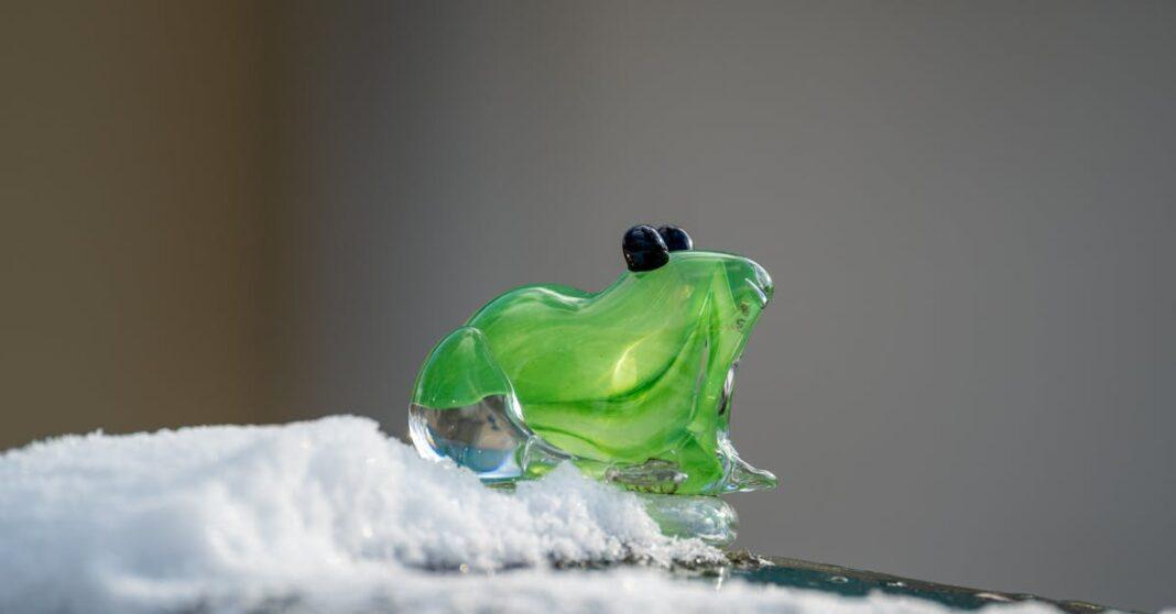 découvrez nos solutions de protection contre le gel pour vos plantes et cultures. protégez vos investissements agricoles et assurez la santé de vos végétaux avec nos conseils et produits spécialisés.