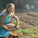 découvrez l'art du jardinage : conseils pratiques, techniques de culture, et astuces pour créer un jardin florissant et respectueux de l'environnement.