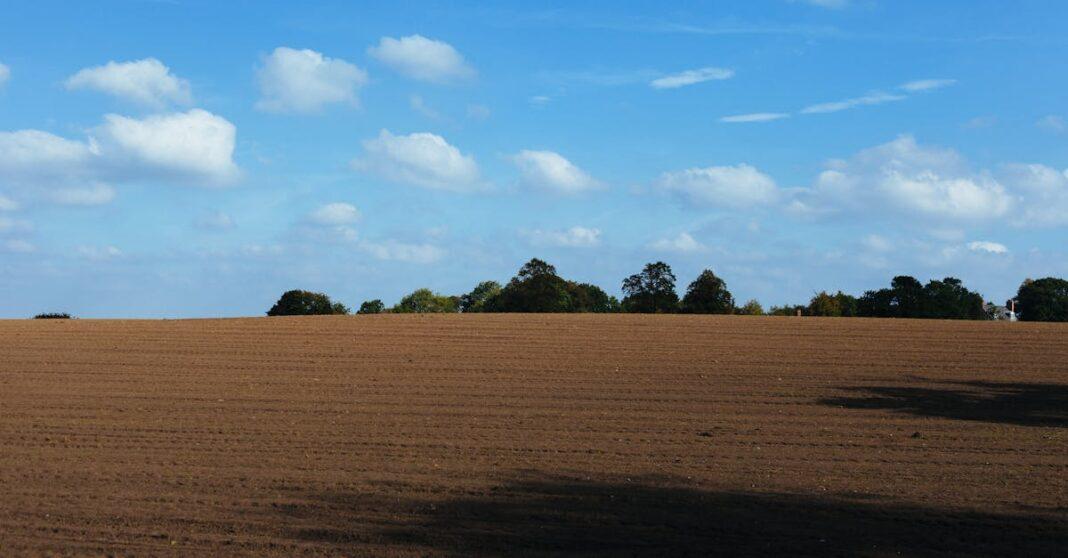 découvrez les meilleures techniques et conseils pour réussir vos plantations d'automne. apprenez à choisir les bonnes plantes, préparer votre sol et optimiser la croissance de votre jardin avant l'hiver.
