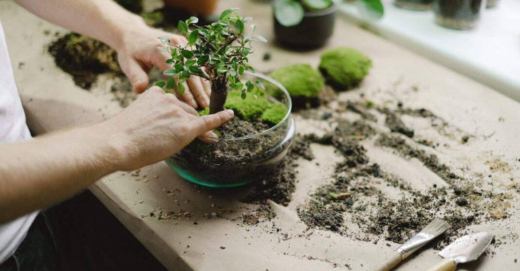 découvrez l'univers fascinant des terrariums, de véritables écosystèmes miniatures qui apportent une touche de verdure à votre intérieur. apprenez comment créer et entretenir votre propre terrarium, choisissez des plantes adaptées et explorez différentes styles et designs pour embellir votre décoration.