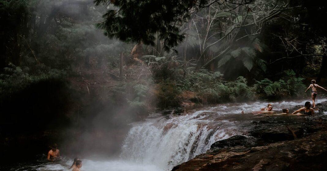 découvrez l'univers envoûtant des piscines naturelles, un espace de détente harmonieux où la beauté de la nature se marie à la vente de l'eau. plongez dans un oasis durable, écolo et esthétique qui transforme votre jardin en un véritable havre de paix.