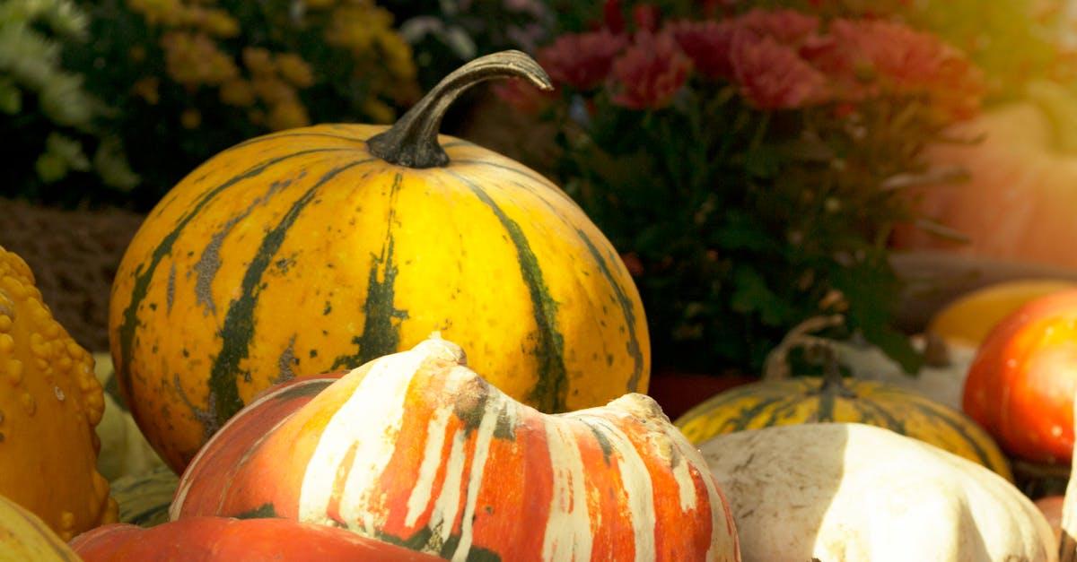 découvrez la beauté des jardins d'automne, où les feuilles dorées et les couleurs chaudes se mélangent pour créer un paysage enchanteur. explorez des conseils de jardinage, des idées de décoration et plus encore pour profiter pleinement de cette saison magique.