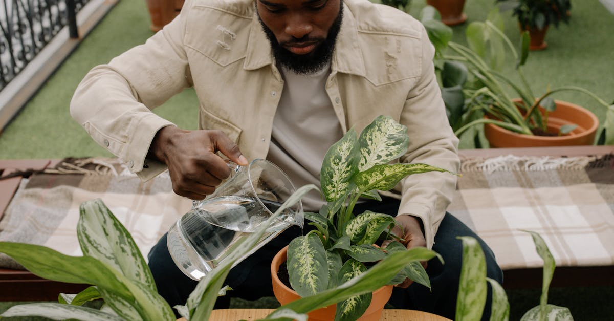 découvrez l'art du jardinage sur balcon avec nos conseils pratiques et astuces pour cultiver des plantes, fleurs et herbes aromatiques dans un espace réduit. transformez votre balcon en un havre de verdure et de sérénité.