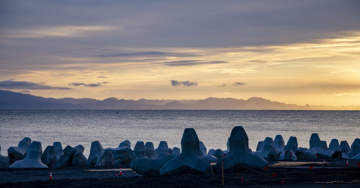 découvrez la protection en cèdre, une solution naturelle et durable pour préserver vos espaces extérieurs. profitez des avantages esthétiques et écologiques du cèdre tout en garantissant la longévité de vos structures en bois.
