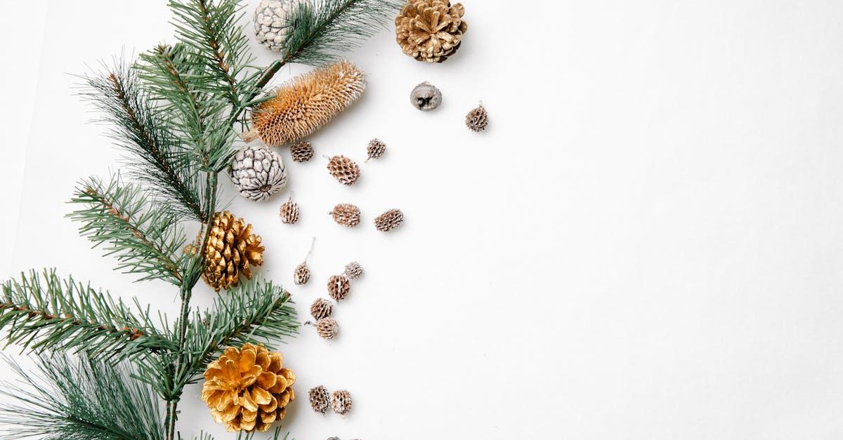 découvrez notre sélection de centres de table de noël, alliant élégance et festive ambiance. transformez votre table avec des décorations inspirantes qui éblouiront vos invités et feront de votre dîner un moment inoubliable.