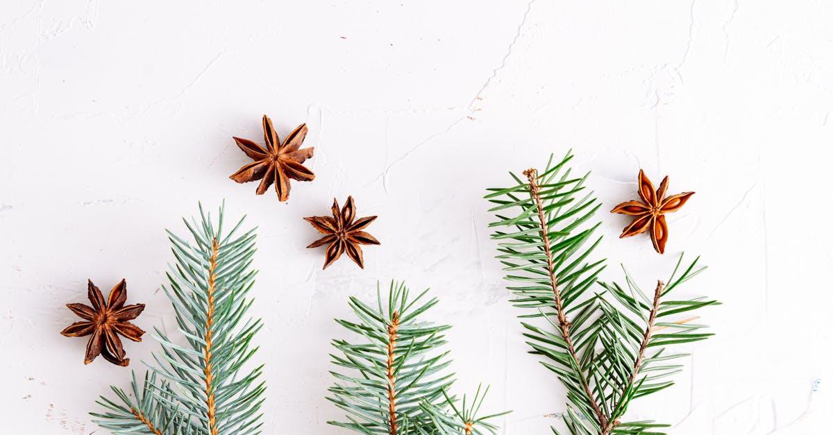 découvrez l'univers envoûtant des épices de noël, idéales pour agrémenter vos plats festifs et créer une ambiance chaleureuse lors des fêtes. explorez des recettes traditionnelles et des astuces pour utiliser la cannelle, la muscade et bien d'autres saveurs incontournables.