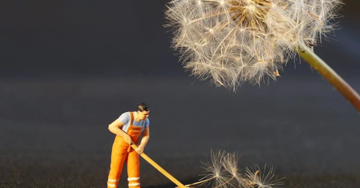 découvrez des astuces et conseils pratiques pour un nettoyage efficace et rapide de votre maison. transformez votre espace de vie grâce à nos techniques de nettoyage écoresponsables et apprenez à maintenir un environnement sain et accueillant.