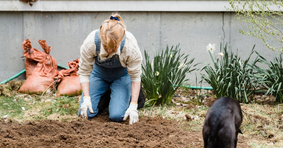 découvrez les avantages du compagnonnage végétal, une méthode naturelle qui consiste à cultiver des plantes complémentaires pour améliorer la croissance, la santé et le rendement de votre jardin. apprenez quelles associations sont bénéfiques et comment optimiser votre espace vert de manière écologique.