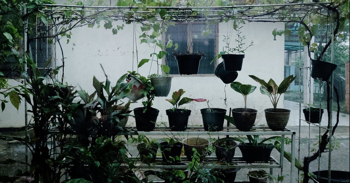 découvrez l'art du jardinage en conteneur : astuces pratiques, plantes adaptées et conseils d'entretien pour transformer petits espaces en véritables havres de verdure.