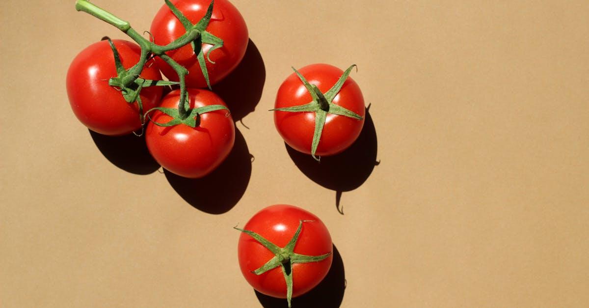 découvrez le monde fascinant des plantes comestibles, apprenez à les identifier, à les cultiver et à les intégrer dans vos recettes pour une alimentation saine et durable.