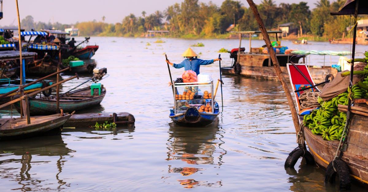 découvrez notre sélection de légumes exotiques aux saveurs uniques et aux couleurs vibrantes. éveillez vos papilles avec des ingrédients rares et sains, parfaits pour vos plats créatifs. explorez de nouvelles recettes et faites voyager vos sens !