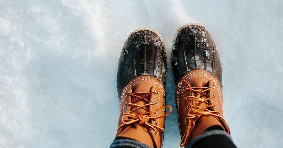découvrez nos solutions de protection contre le gel pour préserver vos plantes et récoltes. apprenez des techniques efficaces pour minimiser les dommages liés au froid et assurer la santé de votre jardin tout au long de l'hiver.