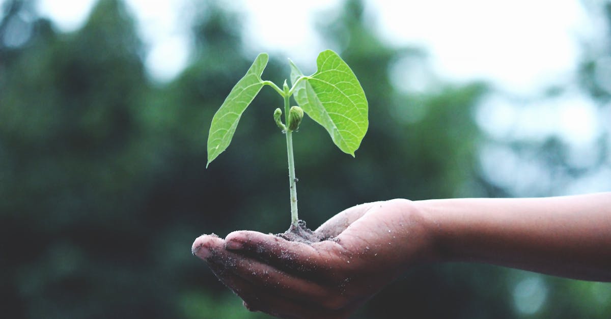 découvrez des stratégies efficaces pour faire croître votre entreprise, améliorer votre productivité et atteindre vos objectifs personnels. apprenez à libérer votre potentiel et à maximiser votre succès.