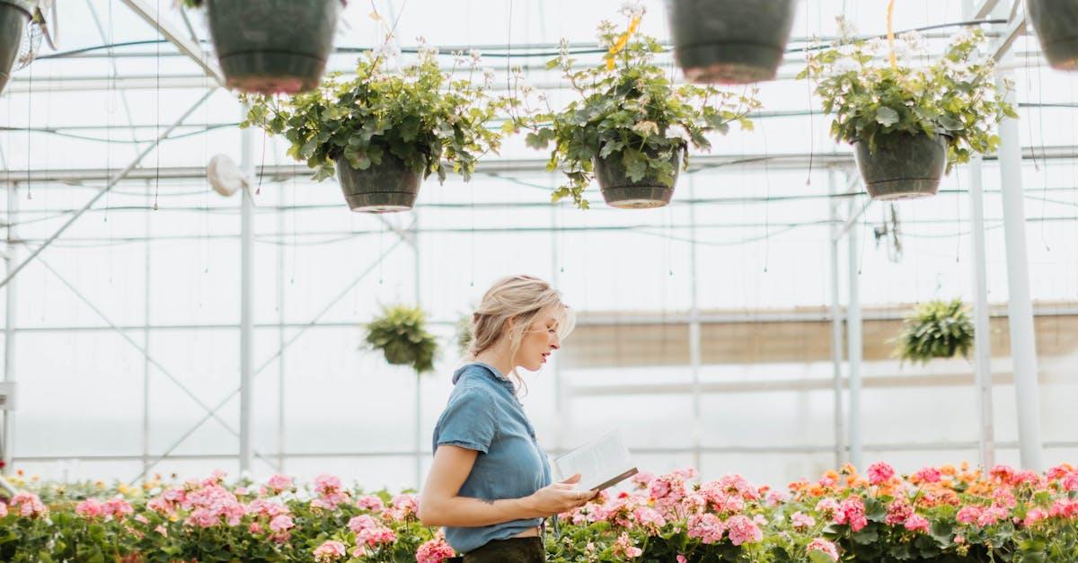 découvrez les plantes à faible entretien, idéales pour les jardiniers occupés. apprenez comment embellir votre espace avec des verdoyantes qui nécessitent peu de soins tout en apportant une touche magnifique à votre intérieur ou extérieur.