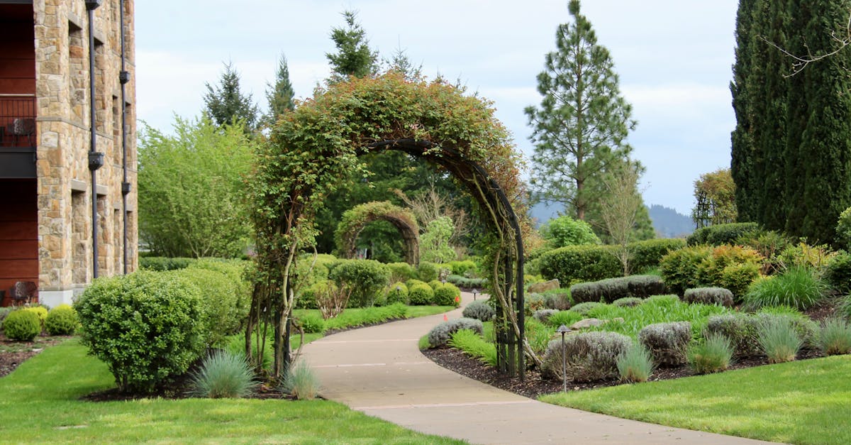 découvrez des solutions paysagères multifonctionnelles qui allient esthétique et praticité. transformez votre jardin en un espace polyvalent, alliant design, durabilité et fonctionnalité pour répondre à tous vos besoins extérieurs.