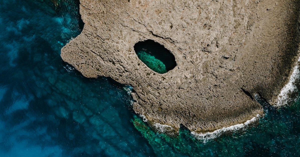 découvrez l'univers des piscines naturelles, une alternative écologique et esthétique aux piscines traditionnelles. profitez de l'eau pure et d'un environnement harmonieux, tout en préservant la biodiversité de votre jardin.