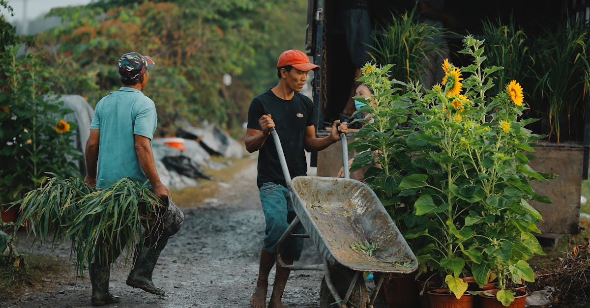 découvrez l'importance de l'analyse du sol pour optimiser vos cultures et garantir des récoltes de qualité. apprenez comment des tests de sol approfondis peuvent améliorer la fertilité et la santé de votre terre.