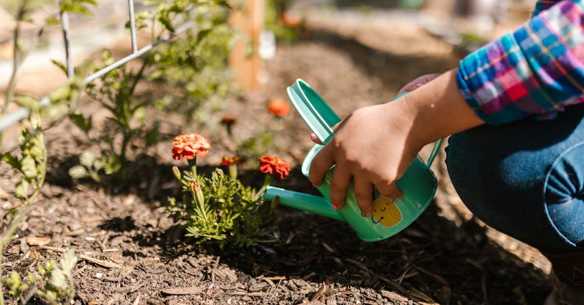 découvrez les pratiques de jardinage durable pour cultiver un espace vert respectueux de l'environnement. apprenez à utiliser des techniques de jardinage écoresponsables qui préservent la biodiversité, favorisent la santé des sols et permettent de produire des plantes et des légumes de manière durable.