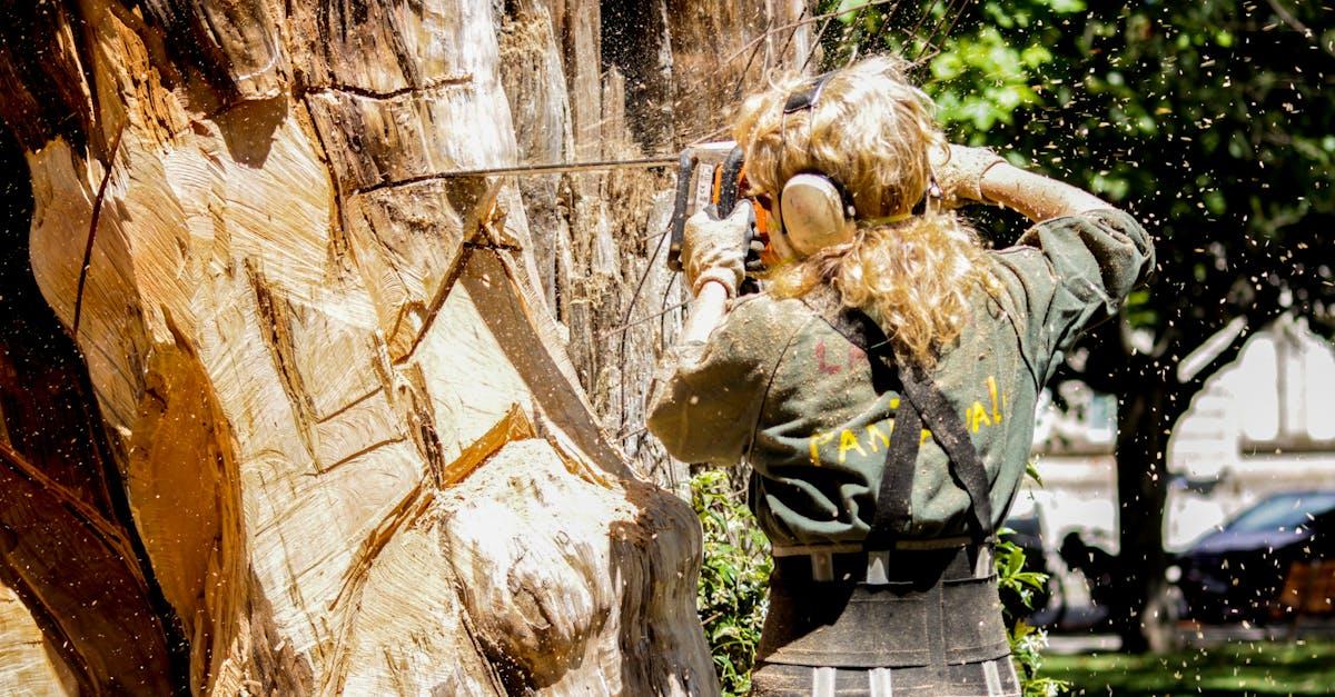 découvrez nos services de maintenance d'arbres pour garantir la santé et la beauté de votre espace vert. nos experts outillent et soignent vos arbres, assurant leur croissance optimale et leur sécurité. confiez-nous l'entretien de votre patrimoine arboré !