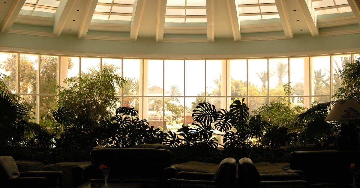 découvrez notre urban oasis, un refuge zen au cœur de la ville. profitez d'espaces verts apaisants, d'une atmosphère relaxante et d'activités revitalisantes pour échapper au stress urbain. votre aventure détendue vous attend dans cet havre de paix.