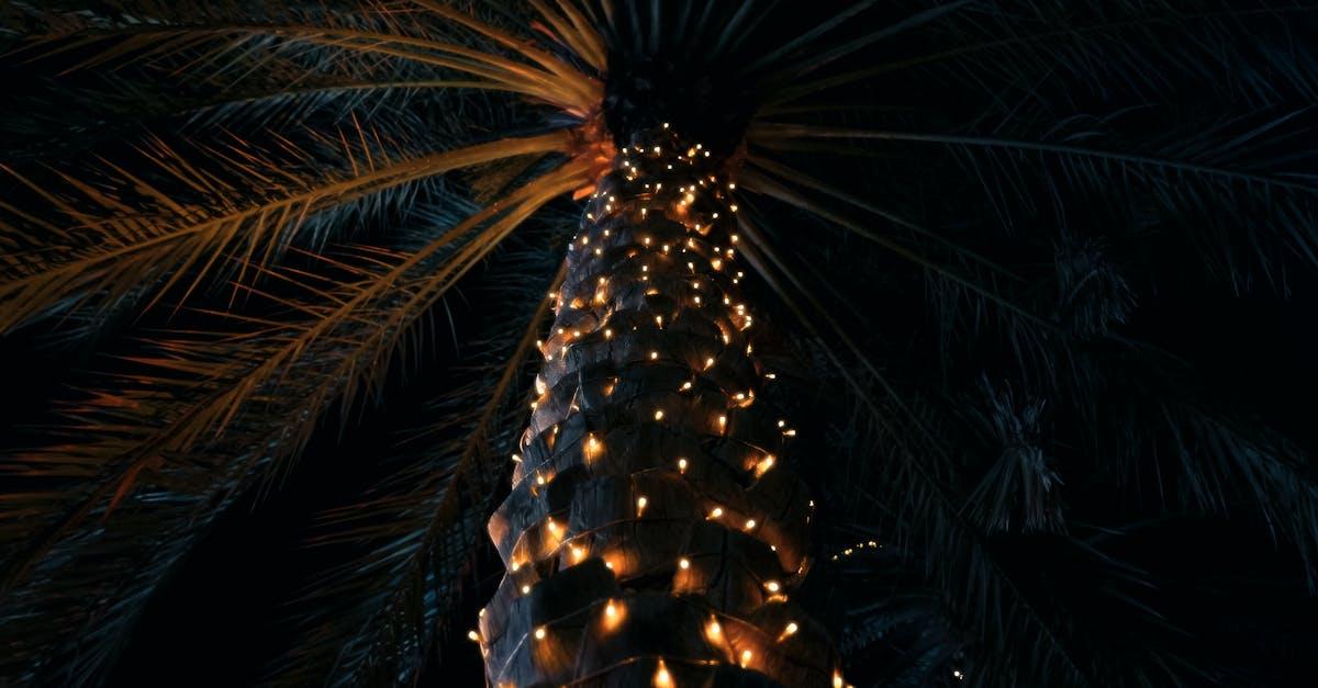 découvrez un havre de paix au cœur de la ville avec 'urban oasis' : un espace unique qui allie nature et confort, idéal pour se ressourcer et profiter de moments de détente. plongez dans cet éden urbain où tranquillité et harmonie se rencontrent.