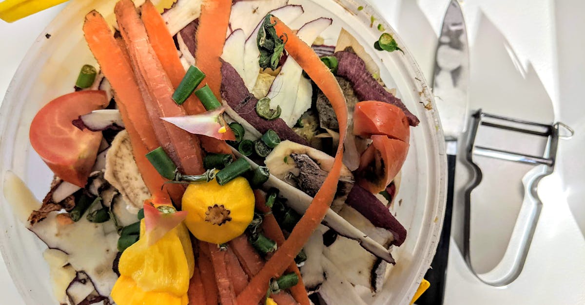 découvrez comment réutiliser les épluchures et restes de légumes pour réduire le gaspillage alimentaire. apprenez des astuces pratiques et créatives pour transformer vos déchets en délicieuses recettes ou en compost nutritif pour votre jardin.