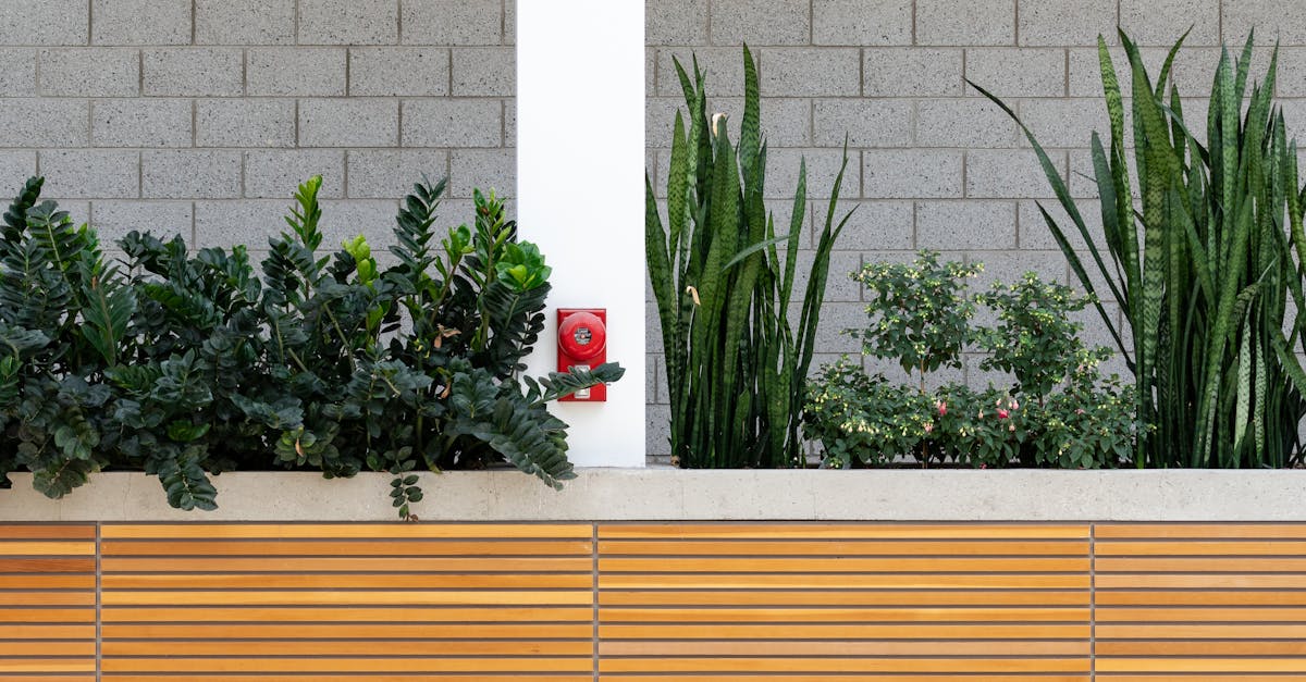 découvrez le jardinage vertical, une solution innovante pour maximiser l'espace tout en embellissant vos murs avec des plantes. apprenez des techniques simples pour créer un jardin luxuriant et durable en milieu urbain.