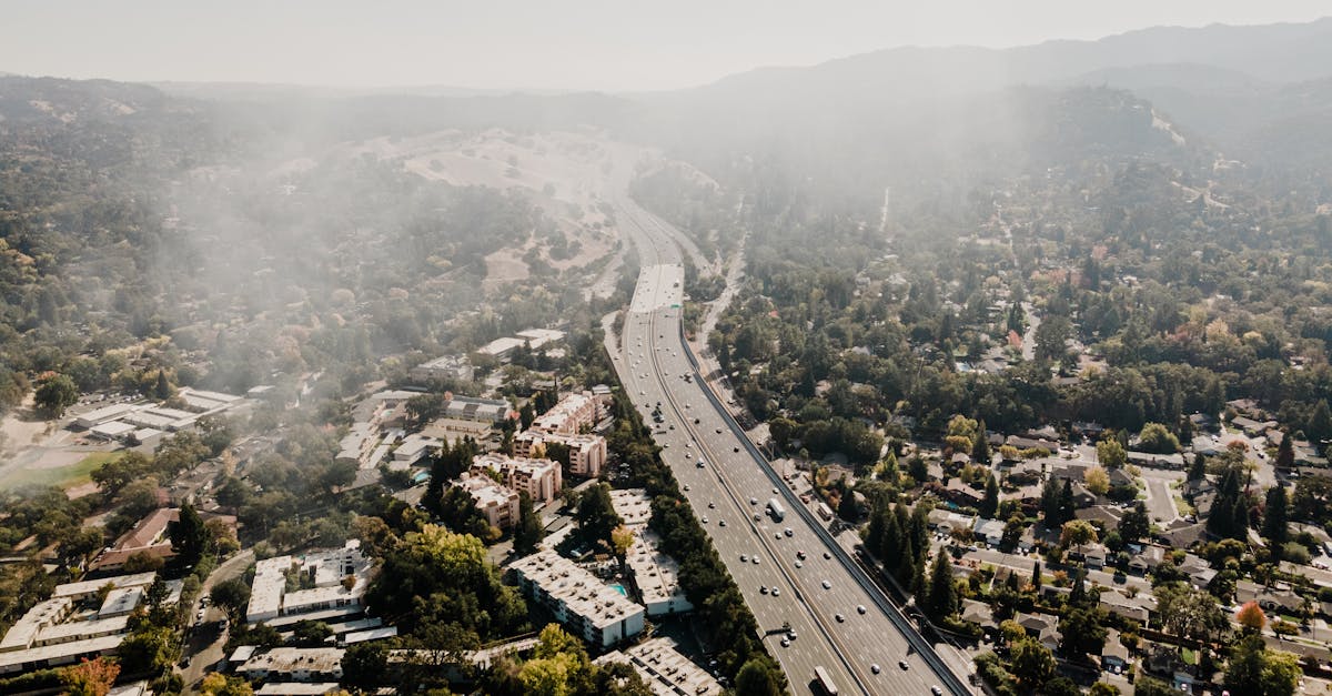 découvrez tout sur les noyers : types, entretien, bienfaits et utilisations. apprenez à cultiver ces arbres majestueux dans votre jardin et profitez de leurs abondantes récoltes.