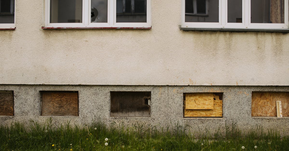 découvrez le monde fascinant des plantes indésirables avec notre guide sur les mauvaises herbes. apprenez à les identifier et à les gérer efficacement pour un jardin sain et harmonieux.