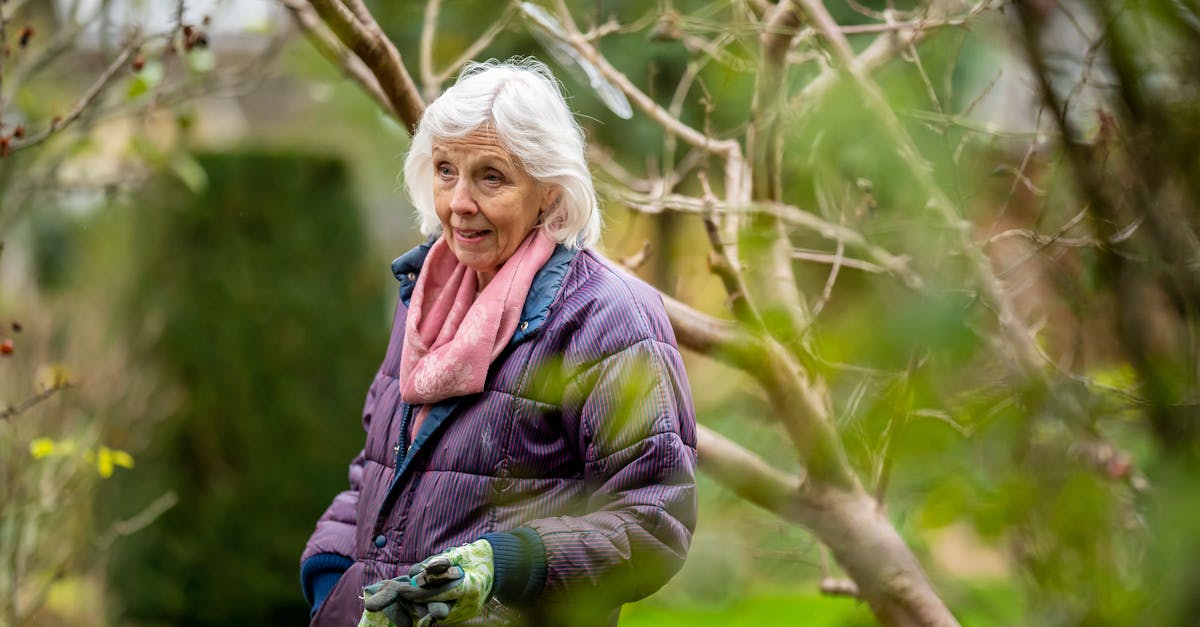 découvrez les secrets du jardinage d'hiver, une activité enrichissante qui vous permettra de profiter de votre jardin même pendant les mois froids. apprenez à choisir les plantes adaptées, à préparer votre sol et à protéger vos cultures des températures glaciales. transformez votre jardin en un havre de paix hivernal tout en préparant un printemps éclatant!